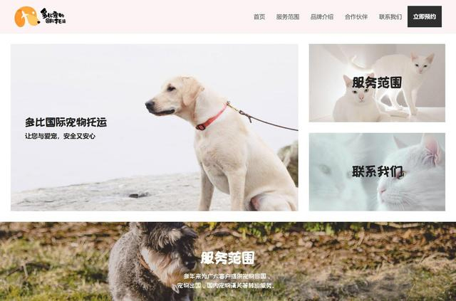 網頁設計案例分析：如何做出美觀的網頁